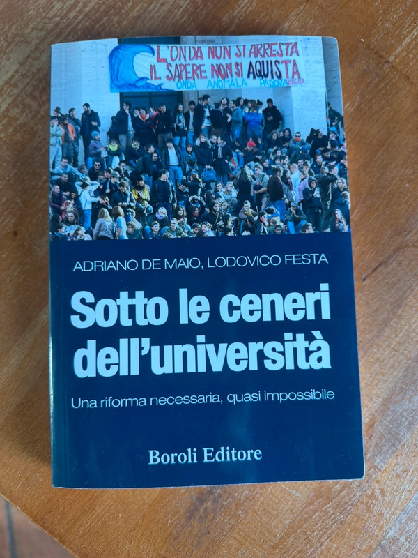 Sotto le ceneri dell'università - De Maio, Festa -