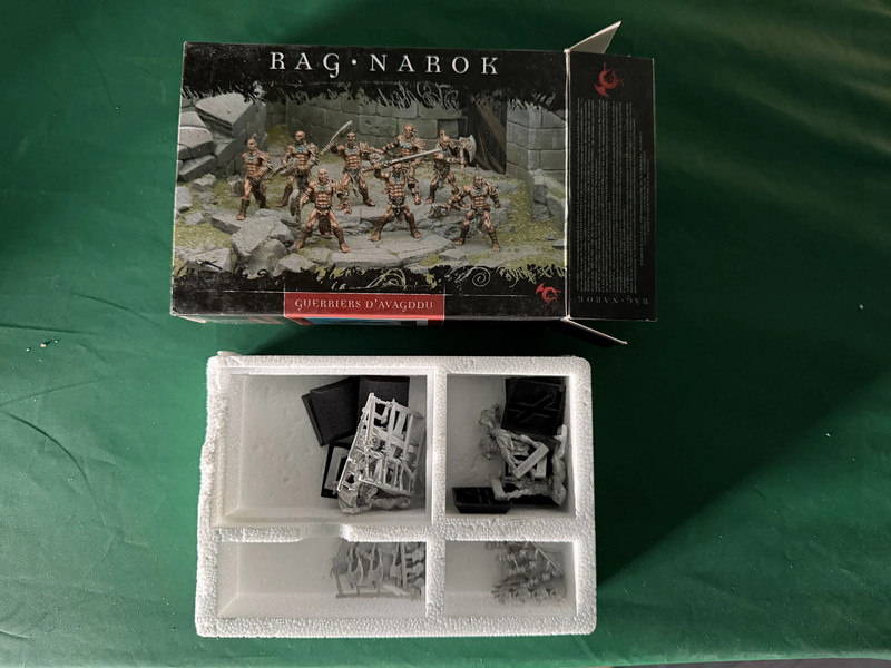 Guerriers d'Avagddu