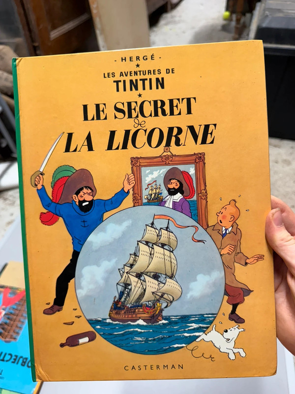 Le secret de la licorne