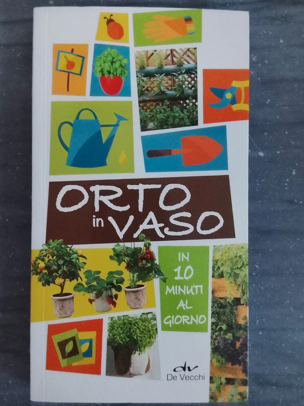 Orto in vaso