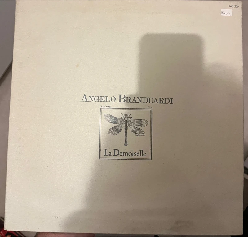 Vinyle Angelo Branduardi