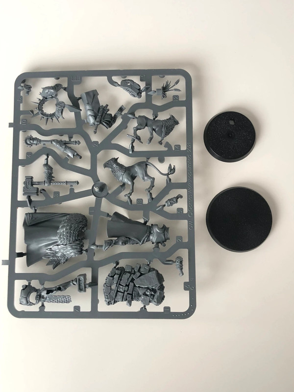 Seigneur-Impératant avec Gryph-dogue Éternels de l’Orage Warhammer AOS