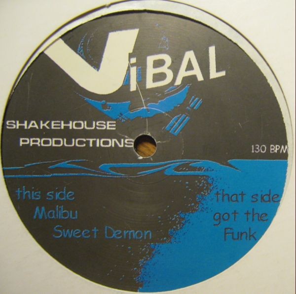 Vibal - Malibu (12") (Very Good (VG)) - 4357322598