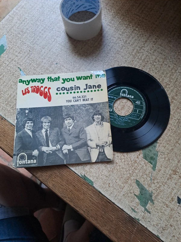 Les troggs