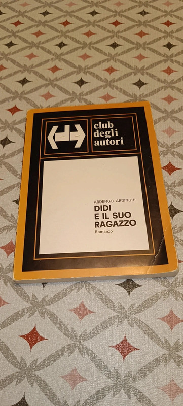 Didi e il suo ragazzo - Ardengo Ardinghi