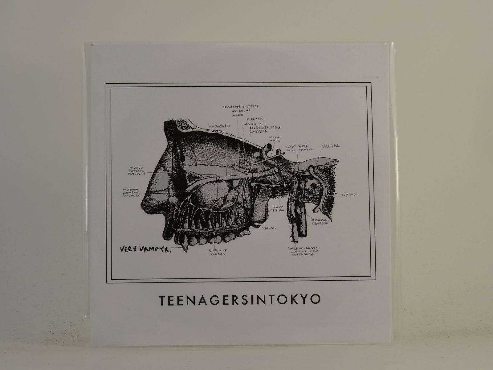 TEENAGERS IN TOKYO VERY VAMPYR (H1) 1 Track Promo CD Single including Picture Sl