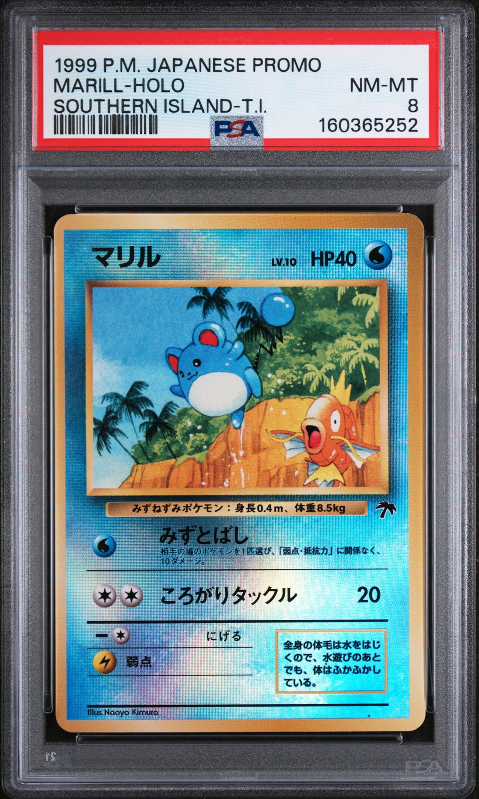 1999 POKEMON JAPANESE PROMO SOUTHERN ISLANDS MARILL-HOLO PSA 8
