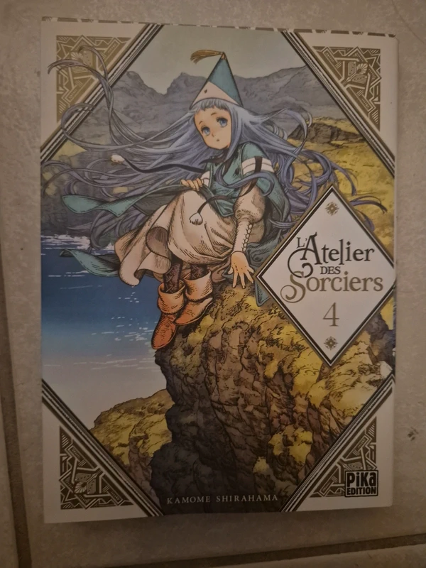 Livre manga