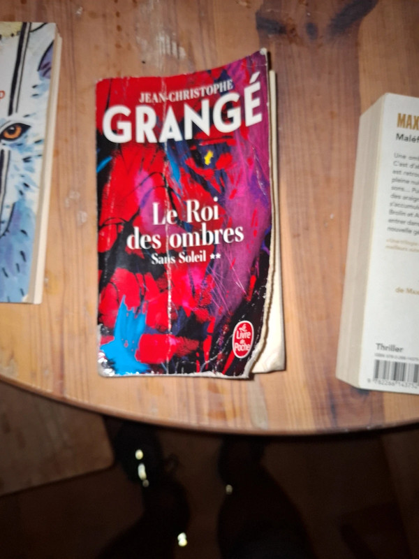 Vent lots de livres de poches