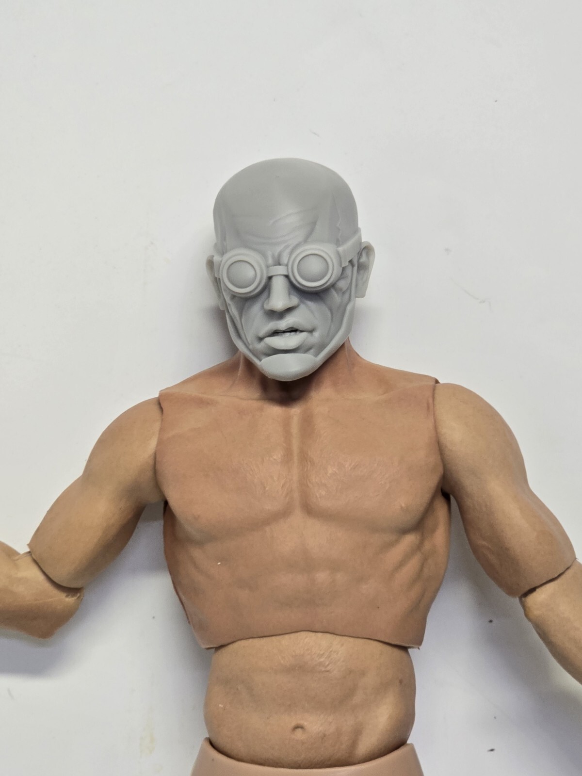 3d Printed FREEZE VILLAIN HEAD 1/6th Scale Fits 12" Body Phicen Figures 
