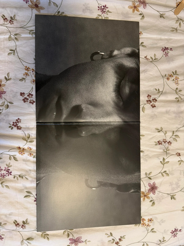 Ultimo vinile