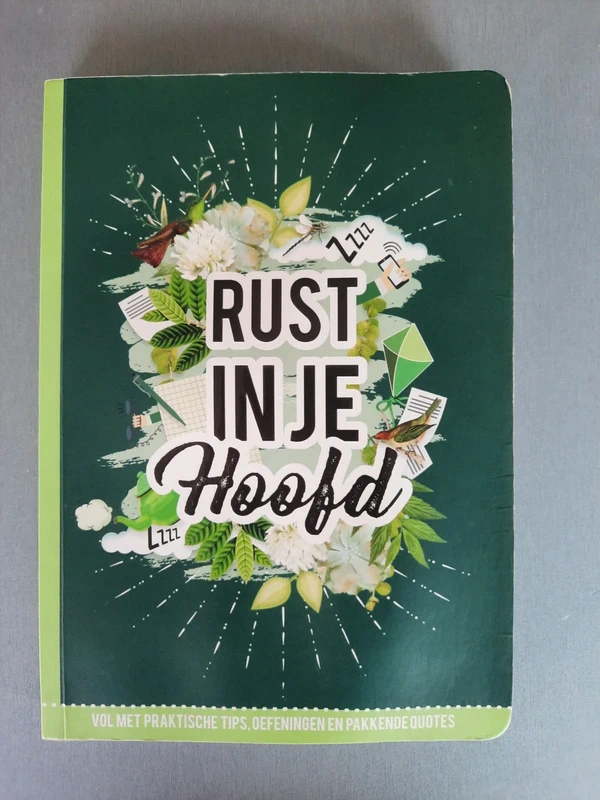Boek Rust in je hoofd