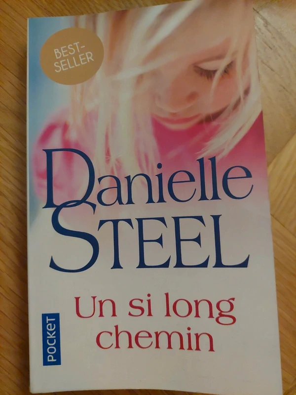 Un si long chemin - Danielle Steel