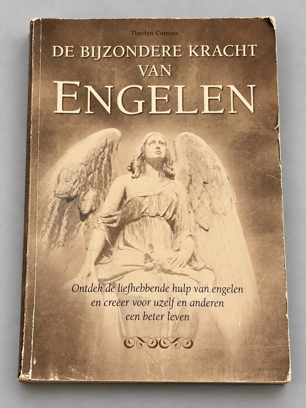 De bijzondere kracht van engelen van Theolyn Cortens.