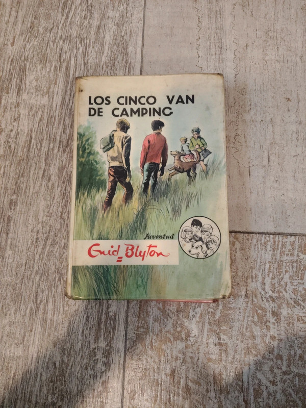 Los cinco van de camping