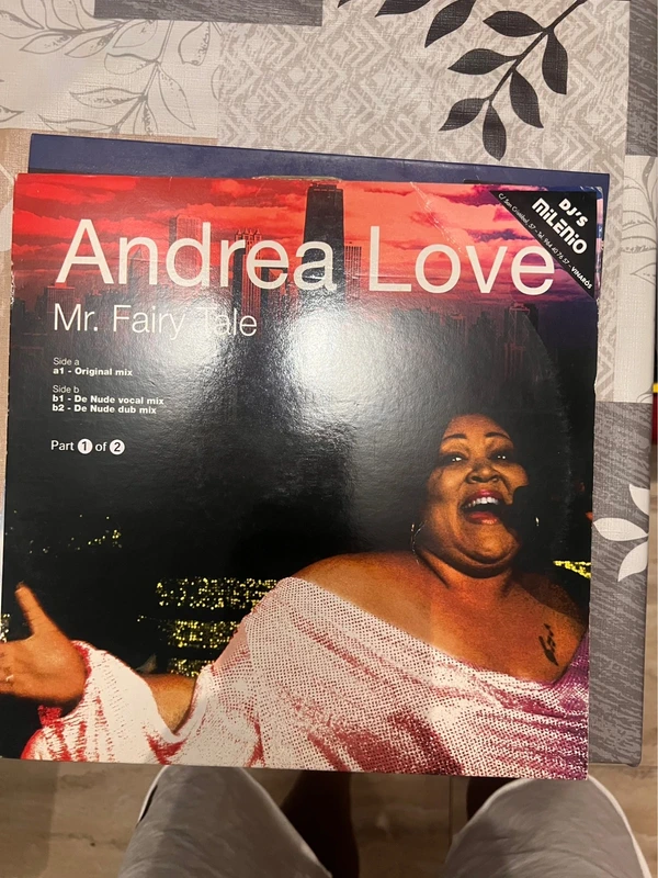 Andrea Love titulado - Mr. Fairy Tale