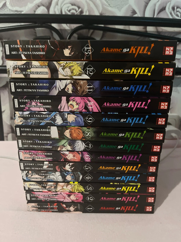 Akame ga kill manga