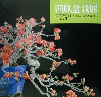 BONSAI KOKUFU Esposizione 75° Foto Libro Arte Giappone 2001 Catalogo Libro Form JP