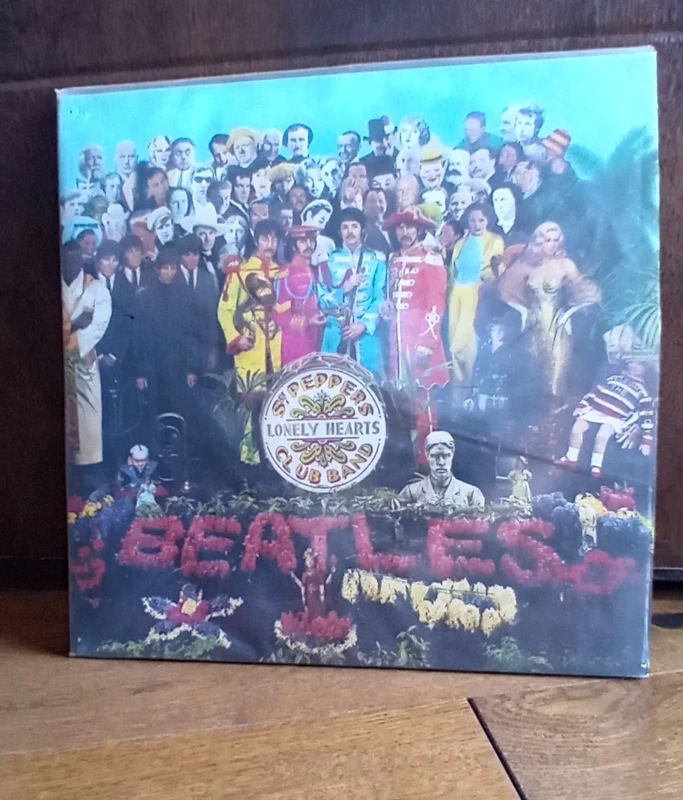 Disco in vinile The Beatles