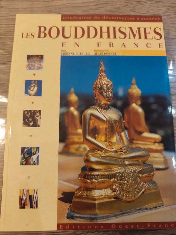 Les bouddhismes en France