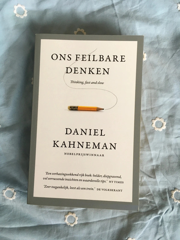 Ons feilbare denken
