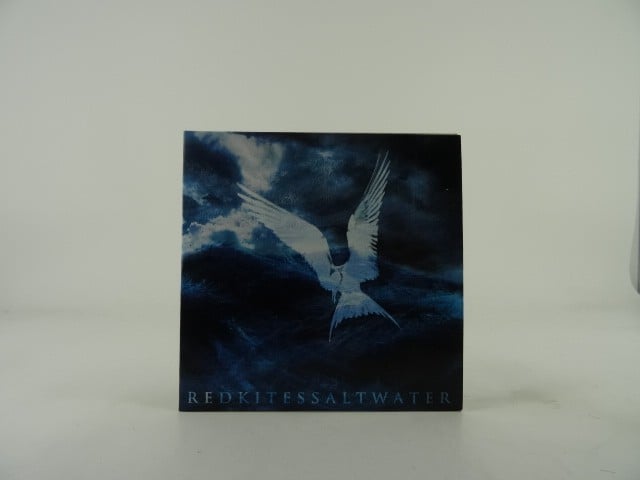 REDKITES SALT WATER (B17) Prices that make Pop Rock 
