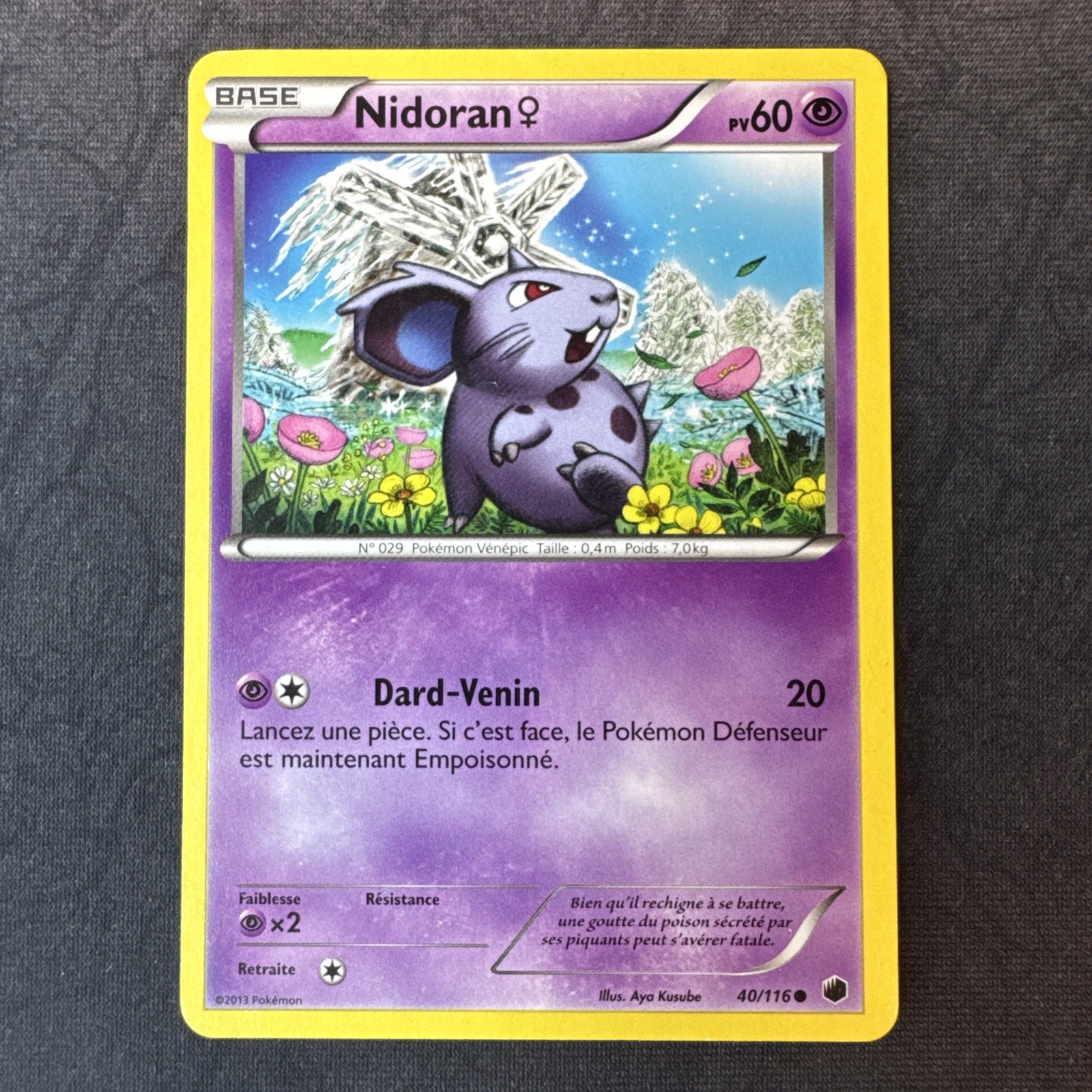 Nidoran F 40/116 Plasma Freeze Pokemon regolare MJ
