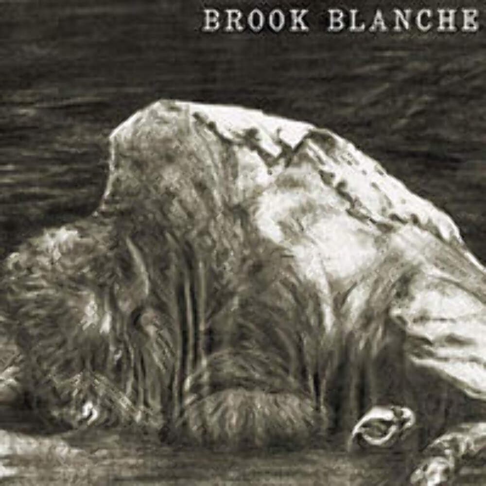 Brook Blanche - Brook Blanche - Country/Folk - Music Vinyl LP