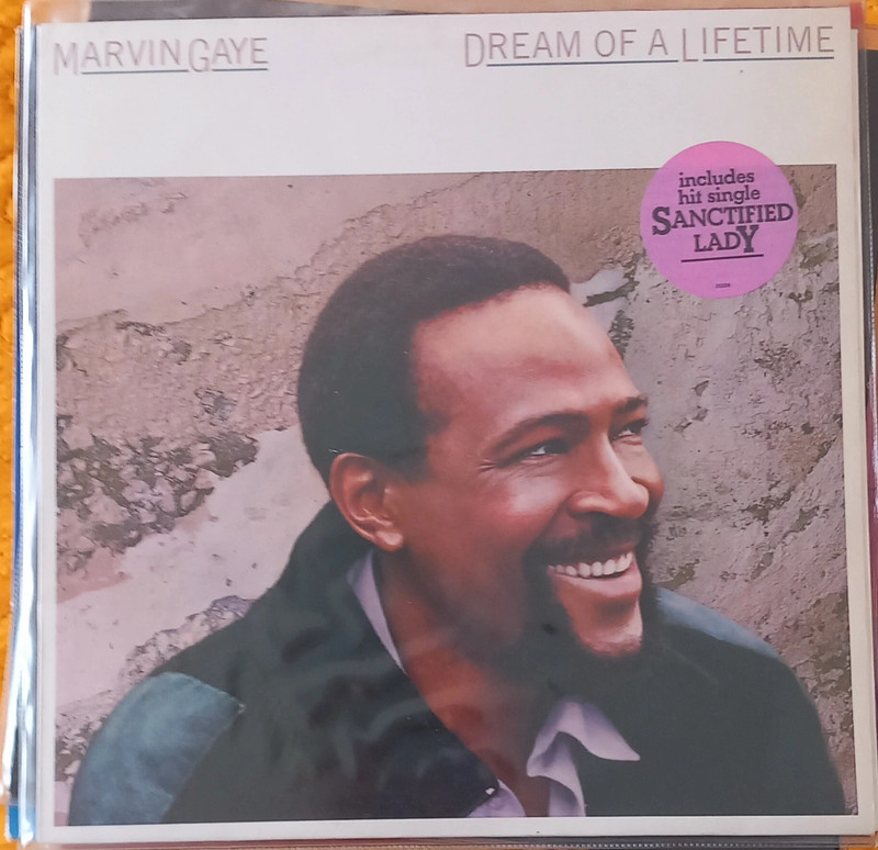 Marvin Gaye - Dream of a Lifetime