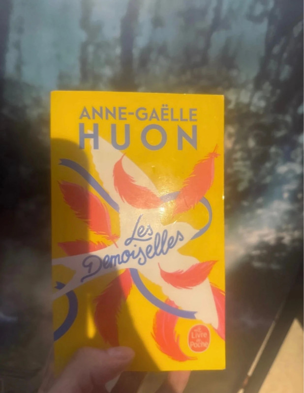Les demoiselles - Anne-Gaêlle Huon