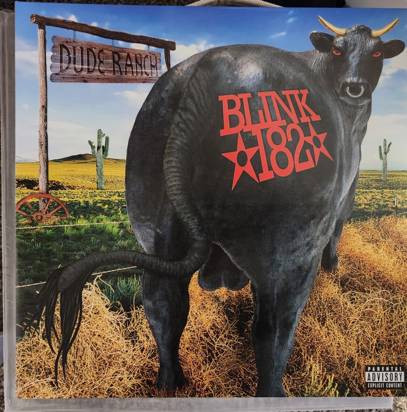 Blink 182 Dude Ranch 2016 Repress Black LP NM