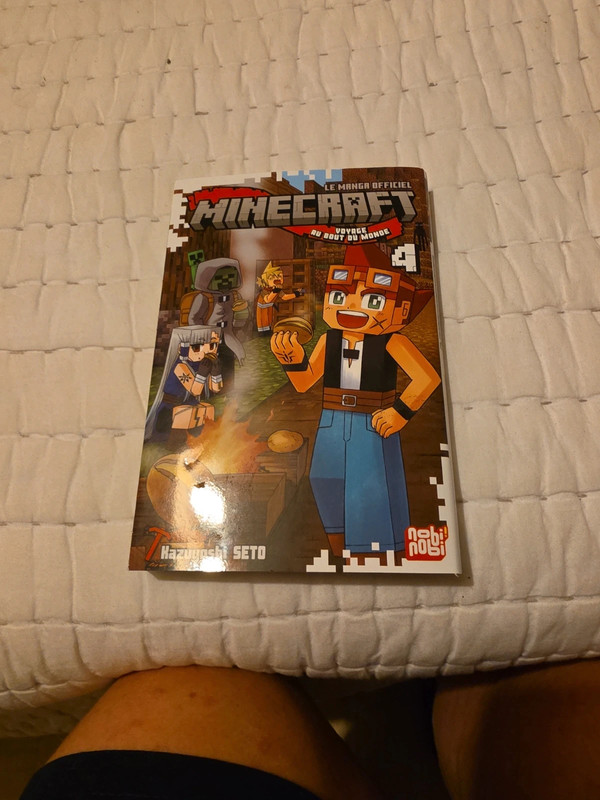 Minecraft T4 Fr