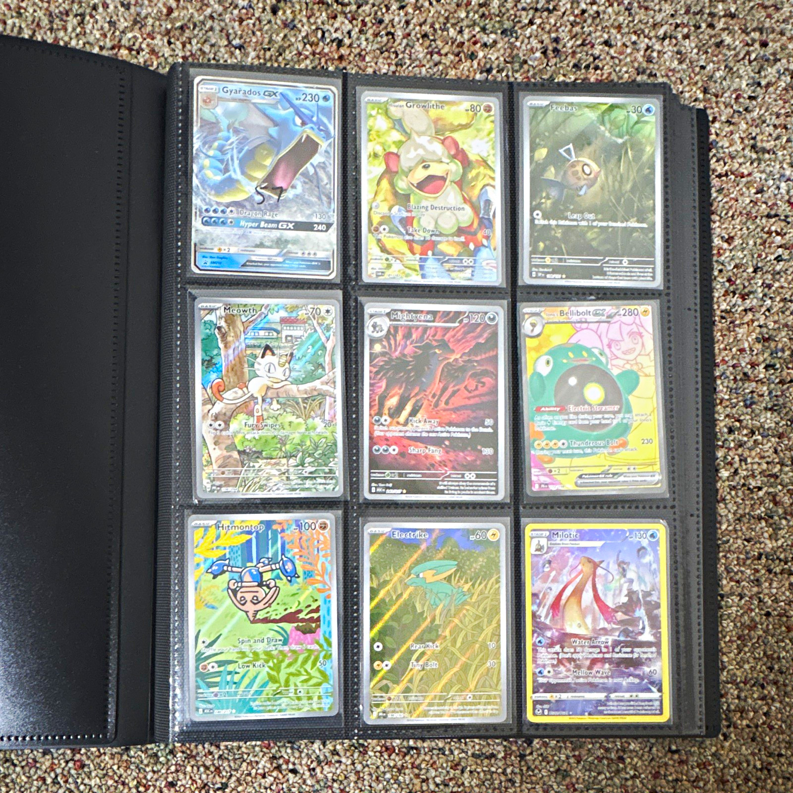 Lotto Carte Pokemon (raccoltatore incluso)