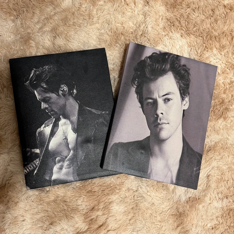 Cuadros Harry Styles