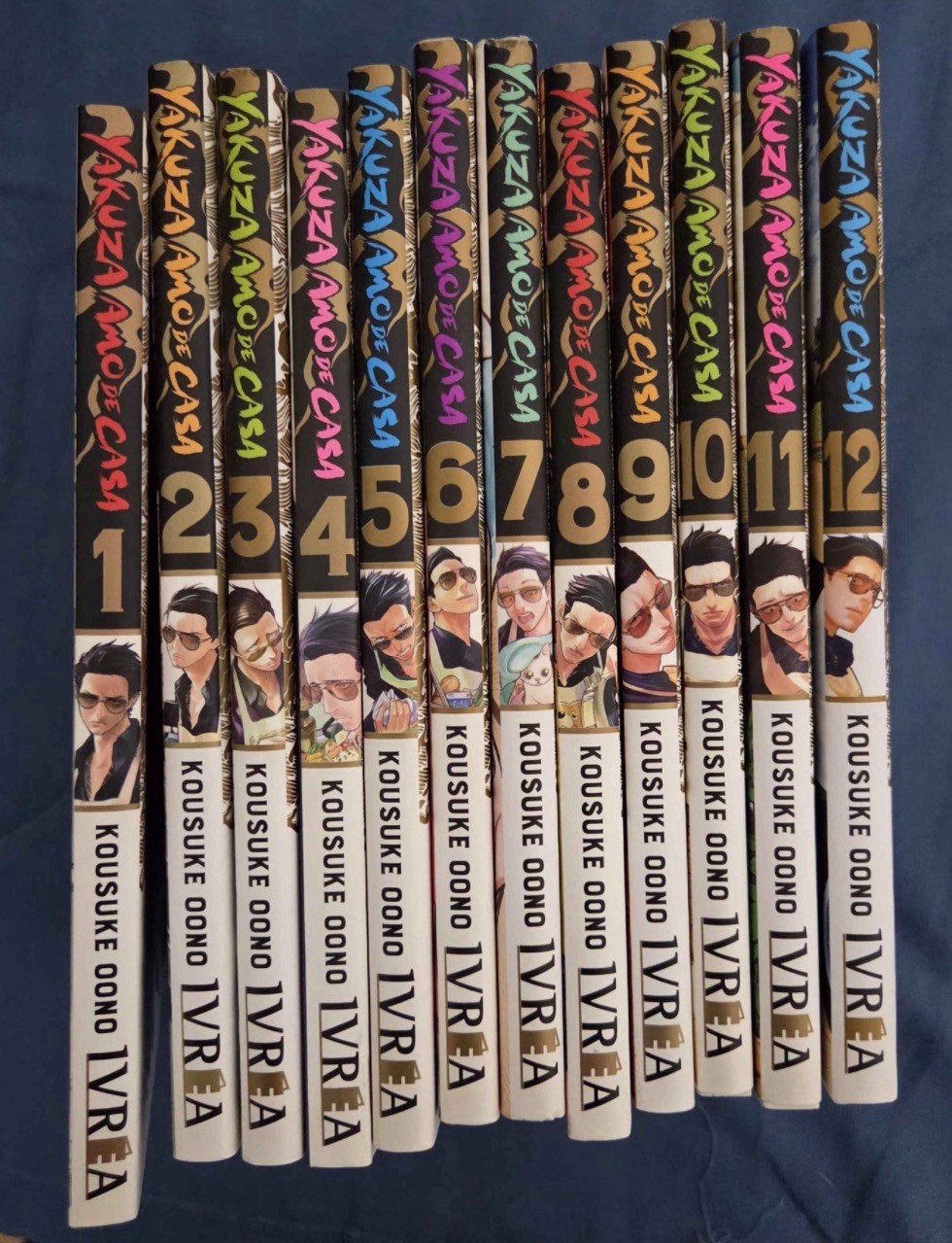 LOTTO 1-12 FUMETTI MANGA YAKUZA AMO DE CASA IVREA SPAGNOLO EN ESPAÑOL LEGGI UNA VOLTA