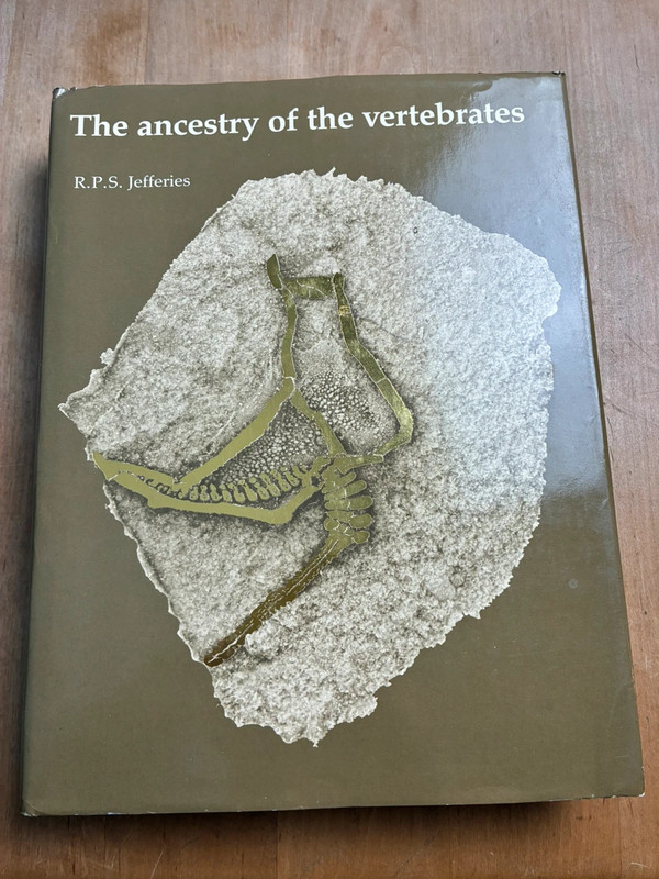 Buch: R.P.S. Jefferies The ancestry of the vertebrates Wissenschaft Evolution Biologie