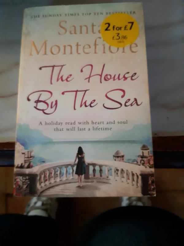Santa Montefiore book (english)