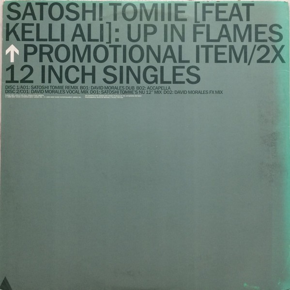 Satoshi Tomiie Feat Kelli Ali - Up In Flames (2x12", Single, Promo) (Very Good P
