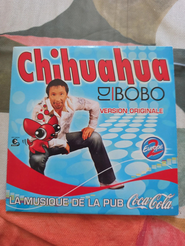 Chihuahua. Dj bobo