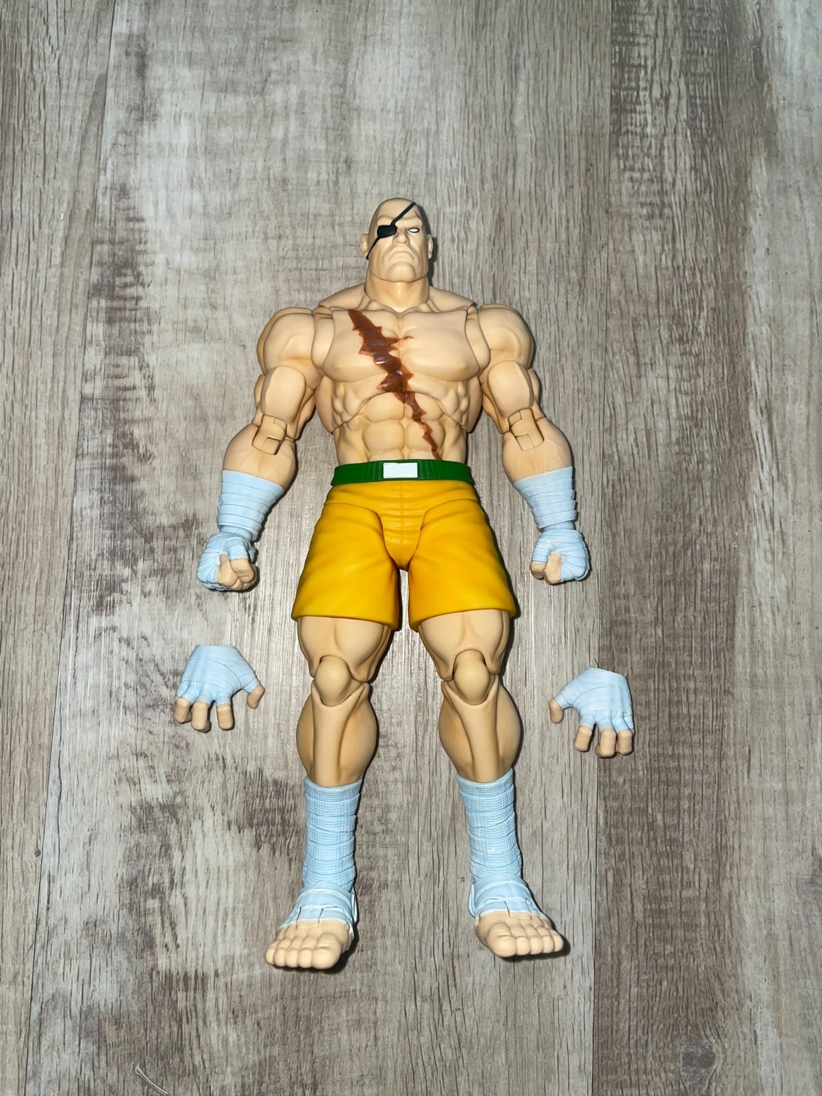 Storm Arena Street Fighter Alpha 3 Sagat Evo 2026 figure only read description
