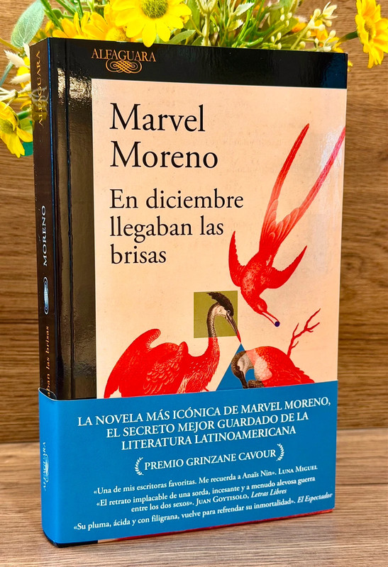 En diciembre llegan las brisas