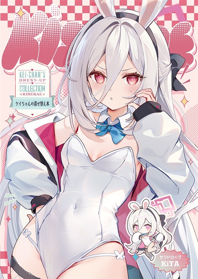 Libro d'arte Blue Archive Kei Tendo Sandrop KiTA Doujin C108