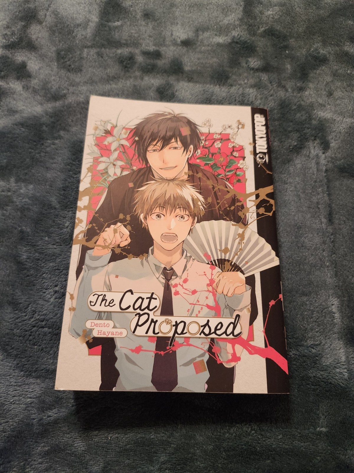 The Cat Proposed manga inglese Dento Hayane TokyoPop BL/Yaoi