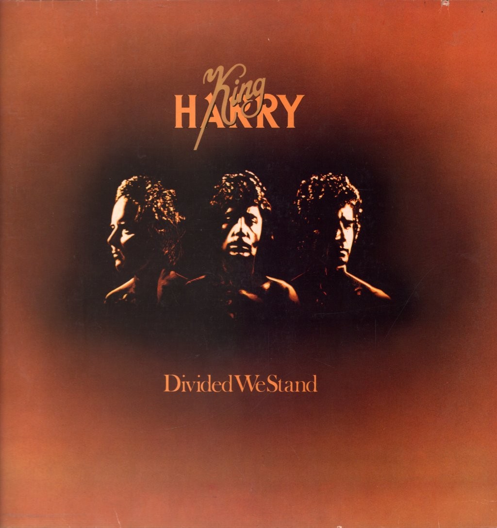 King Harry Divided We Stand LP vinyl Germany Emi 1977 with inner. Small deletion