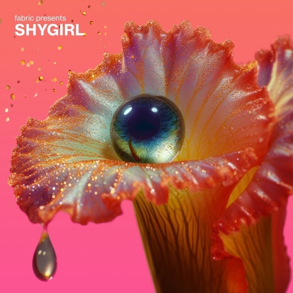 VARIOUS ARTISTS FEAT. SHYGIRL - FABRIC PRESENTS SHYGIRL  2 VINYL LP NEUF
