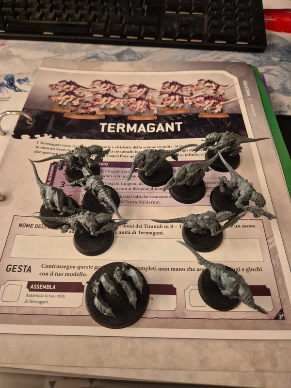 Squadra termangant tiranide