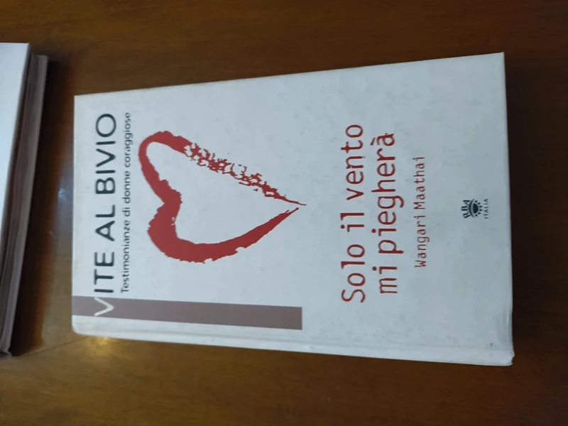 Solo il vento mi piegherà