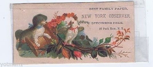 Carta famiglia osservatore New York, tema pappagallo e cane, carta commerciale vittoriana 