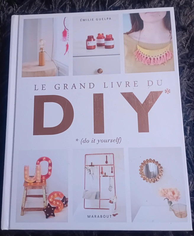 Le grand livre du D I Y