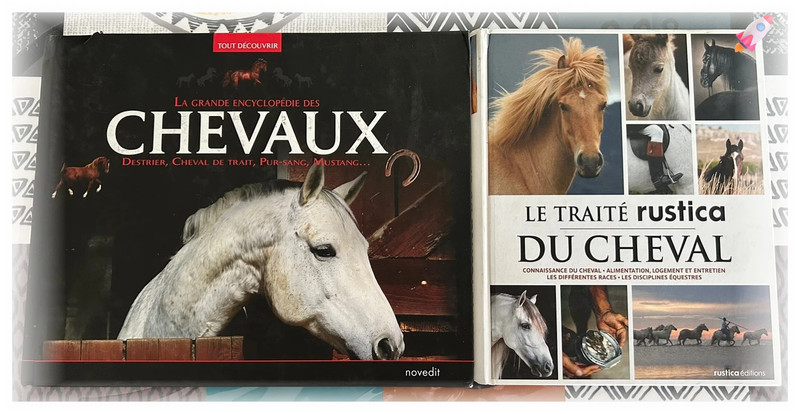 2 livres / encyclopédies sur le monde du Cheval